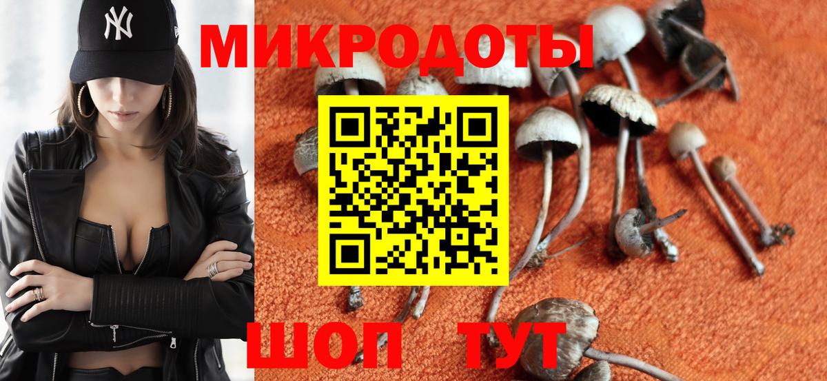 Псилоцибиновые грибы Magic Shrooms Кондопога