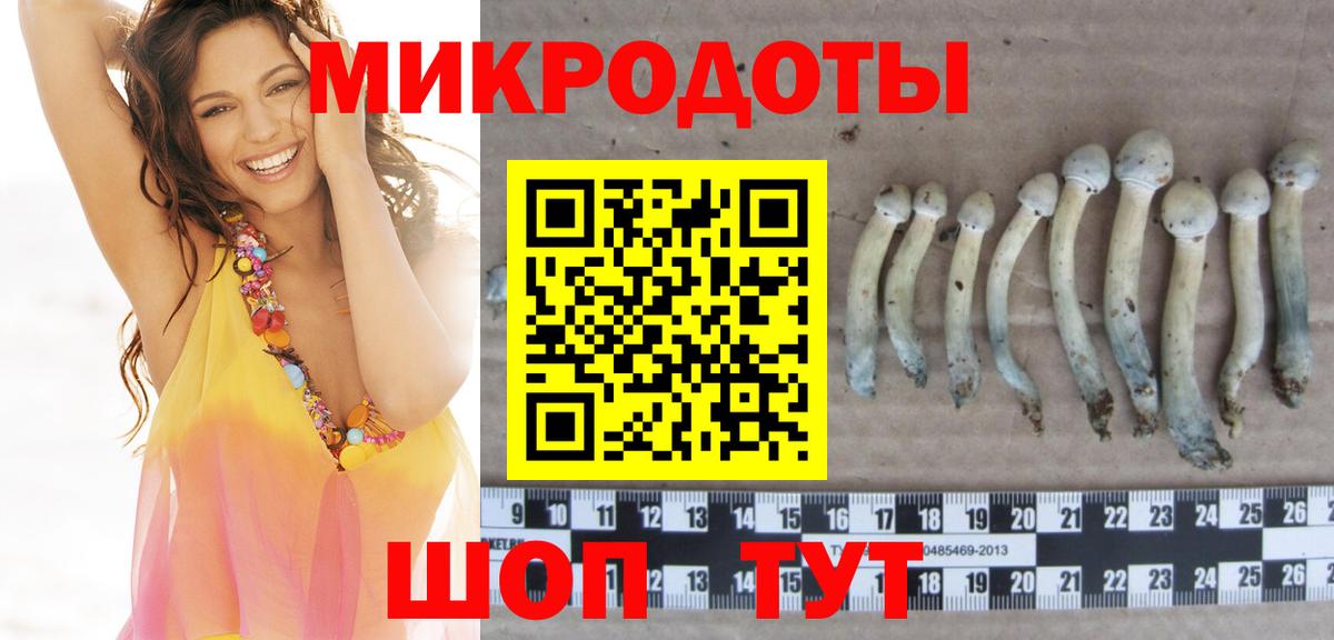 Псилоцибиновые грибы мицелий  купить наркотики сайты  Кондопога  Вход с VPN 